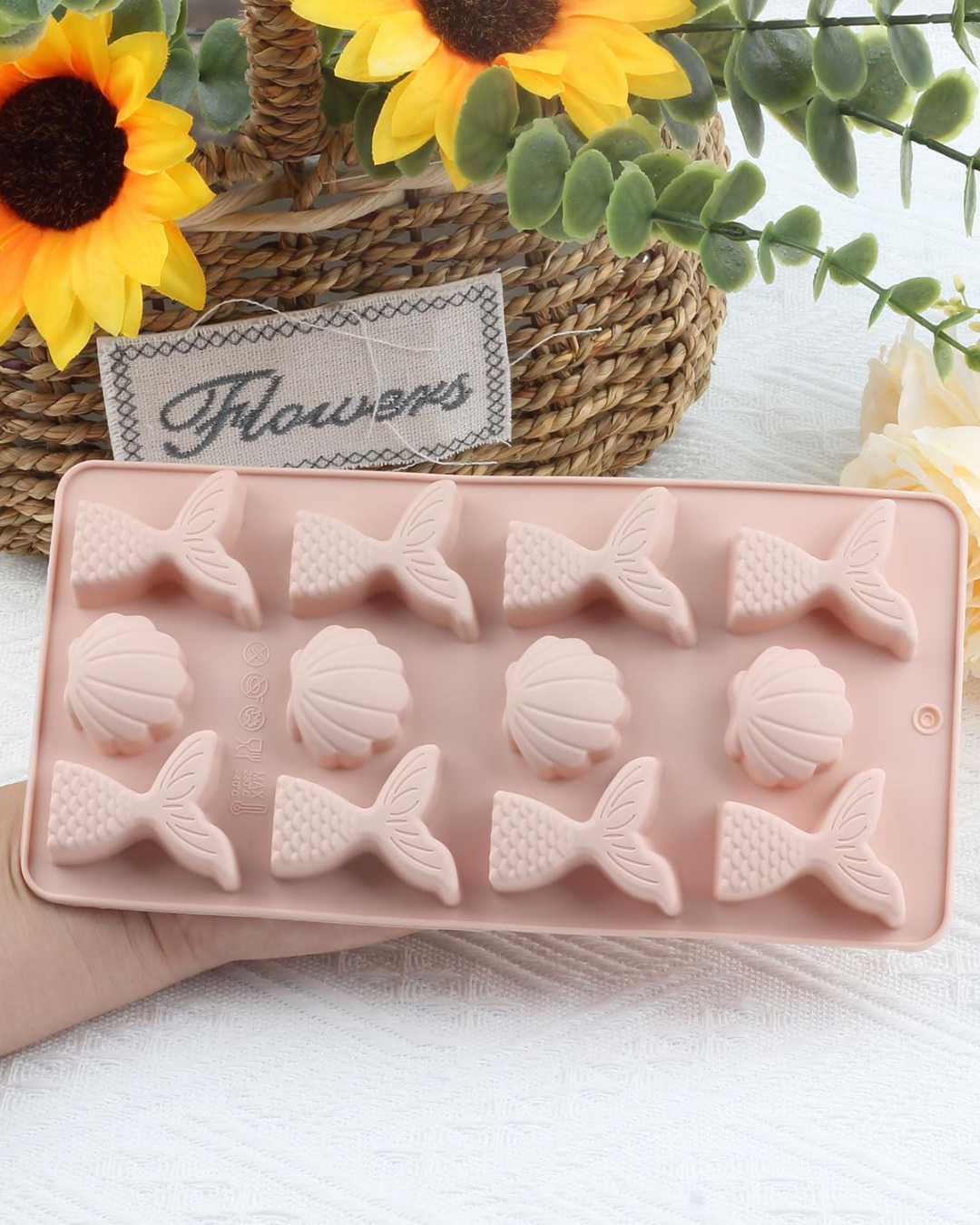 molde de conchas marina