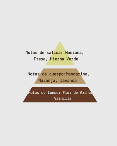 Fragancia Frutos Rojos 125g