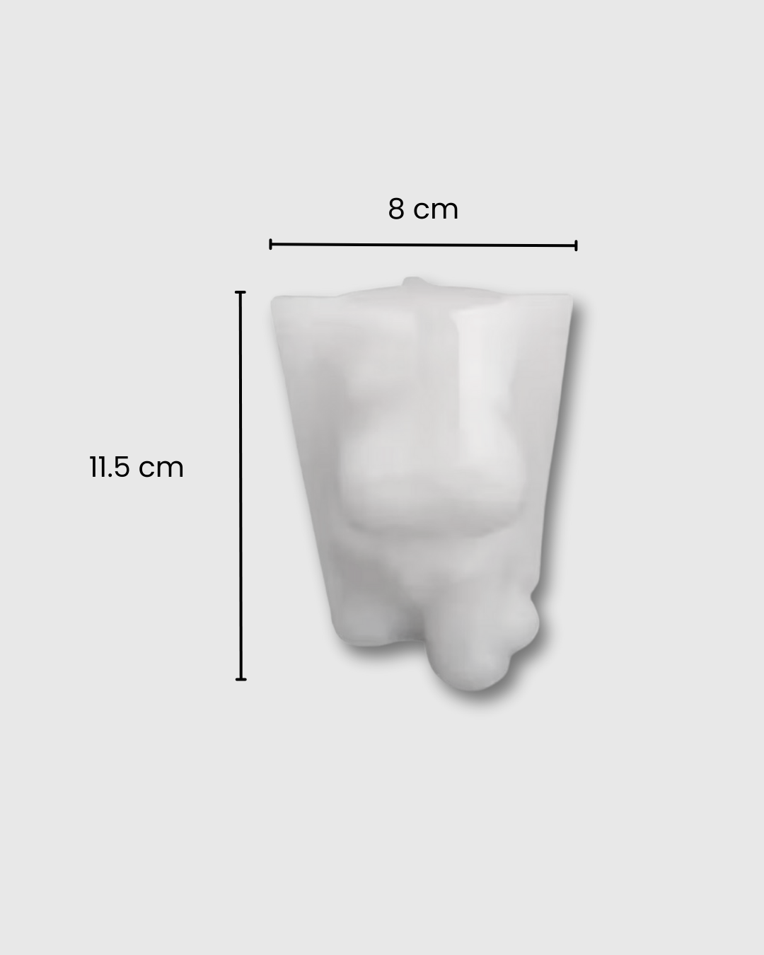 Molde de Silicona en Forma de Perro Schnauzer