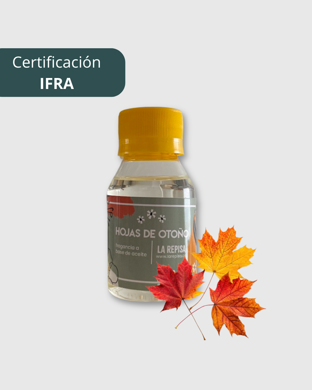 Fragancia hojas de otoño 60g