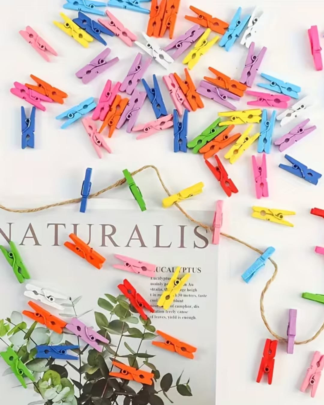 Paquete x 50 Mini Pinzas de Madera