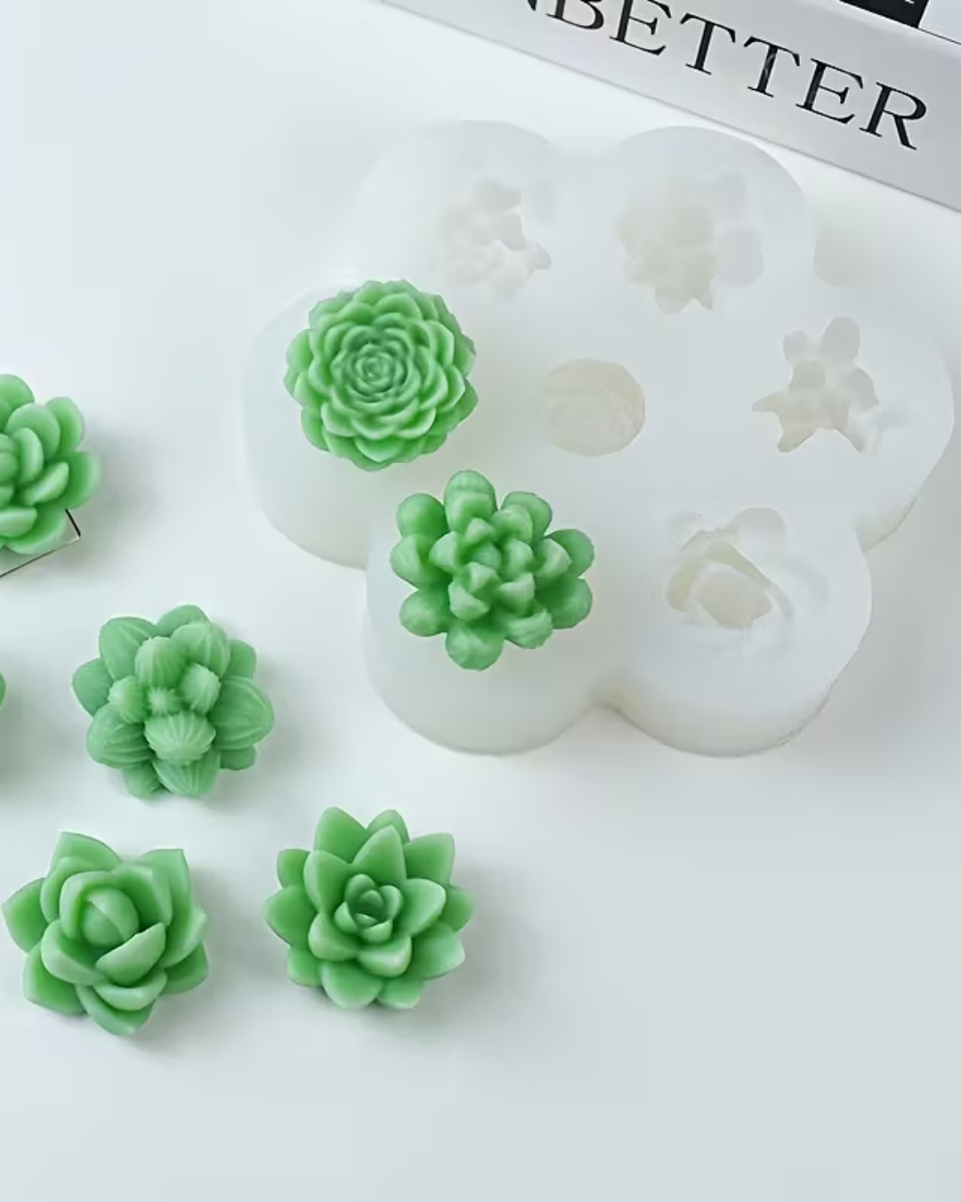 Molde de Silicona para Suculentas