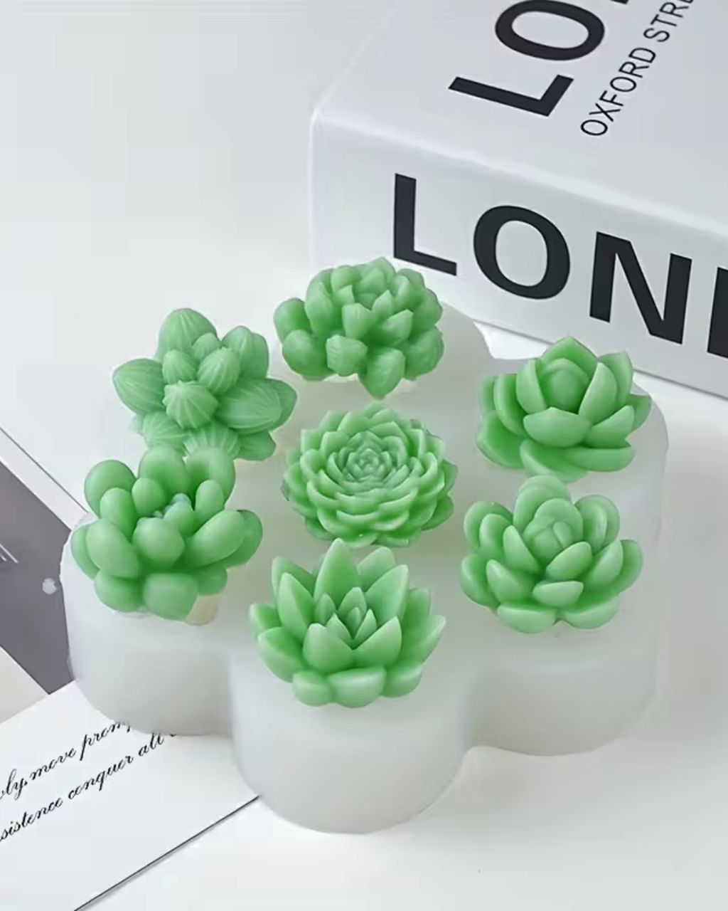 Molde de Silicona para Suculentas