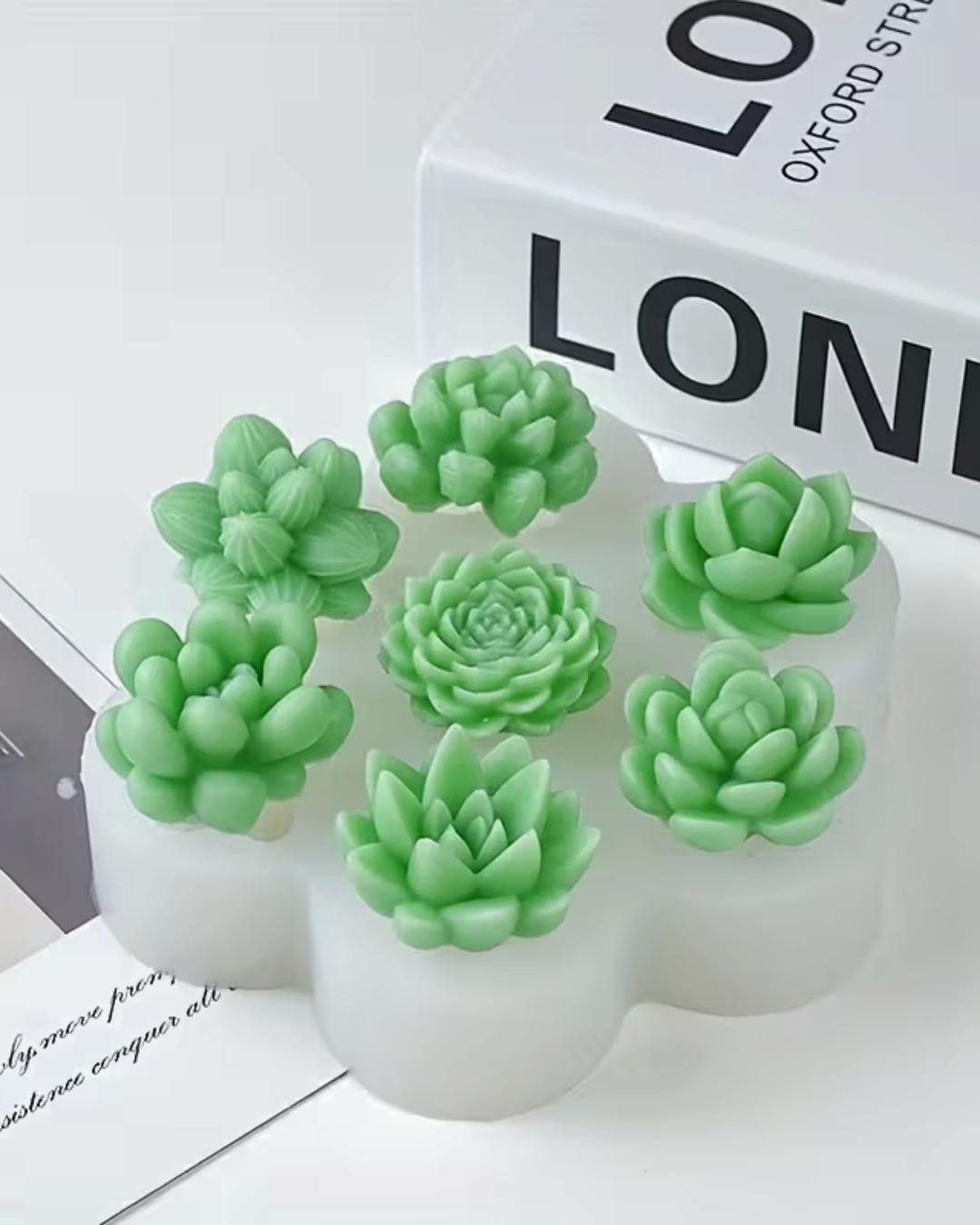 Molde de Silicona para Suculentas