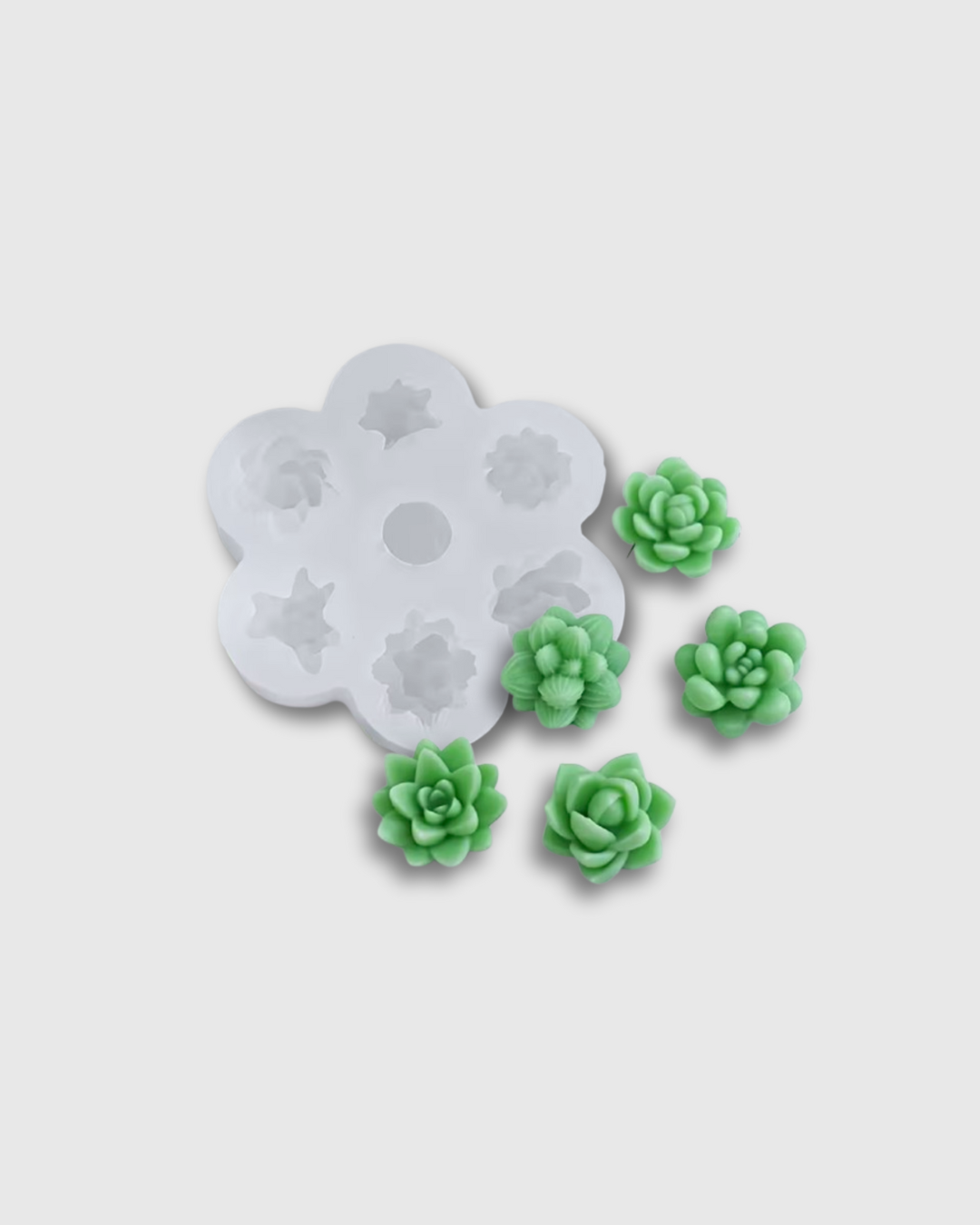 Molde de Silicona para Suculentas