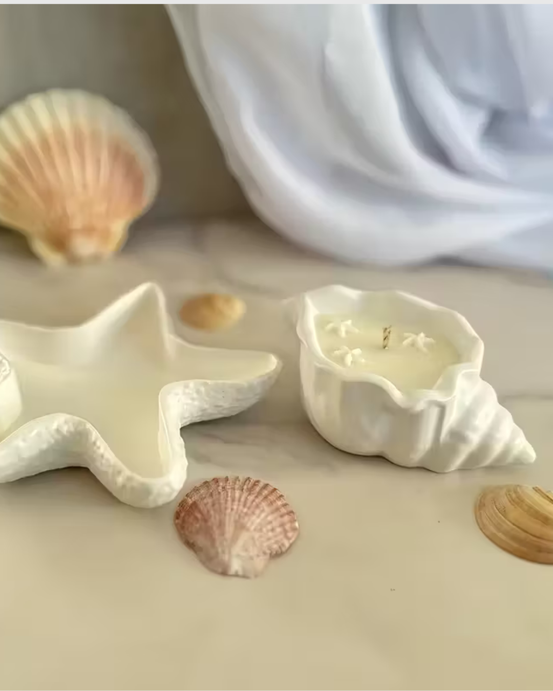 Molde de Silicona Recipiente / Bandeja en Forma de Concha Marina