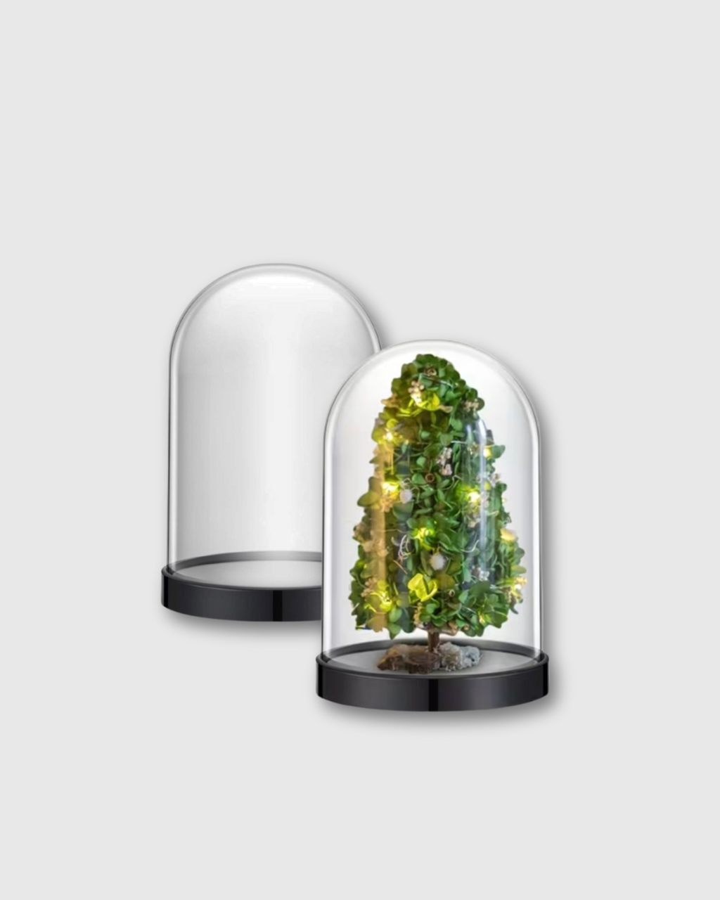 Exhibidor tipo cúpula de plástico transparente con tapa 10x6cm